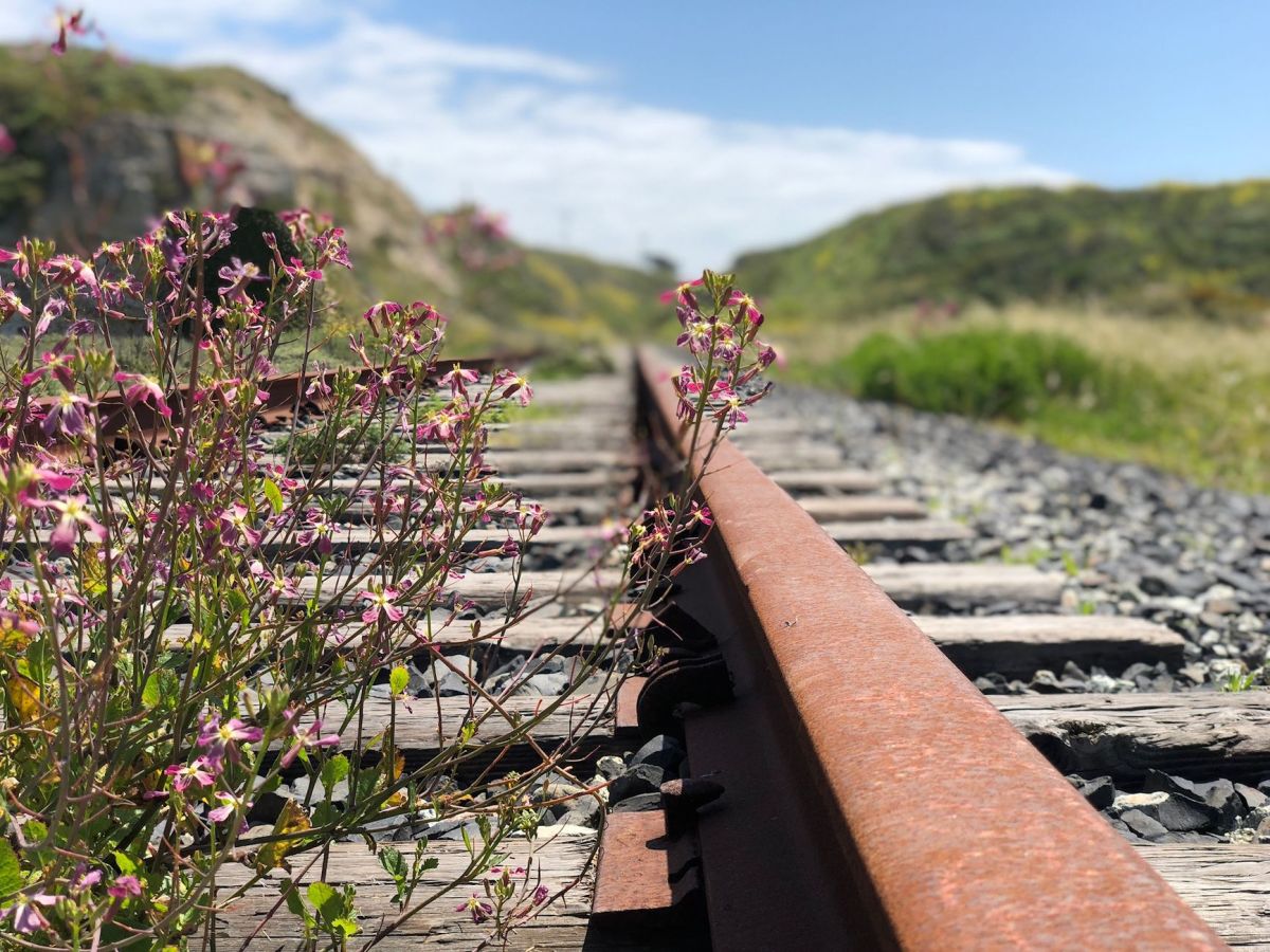The Bowes Railway: Re-enactment of rope hauled&nbsp;railways
